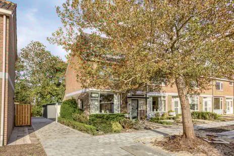 undefined main image