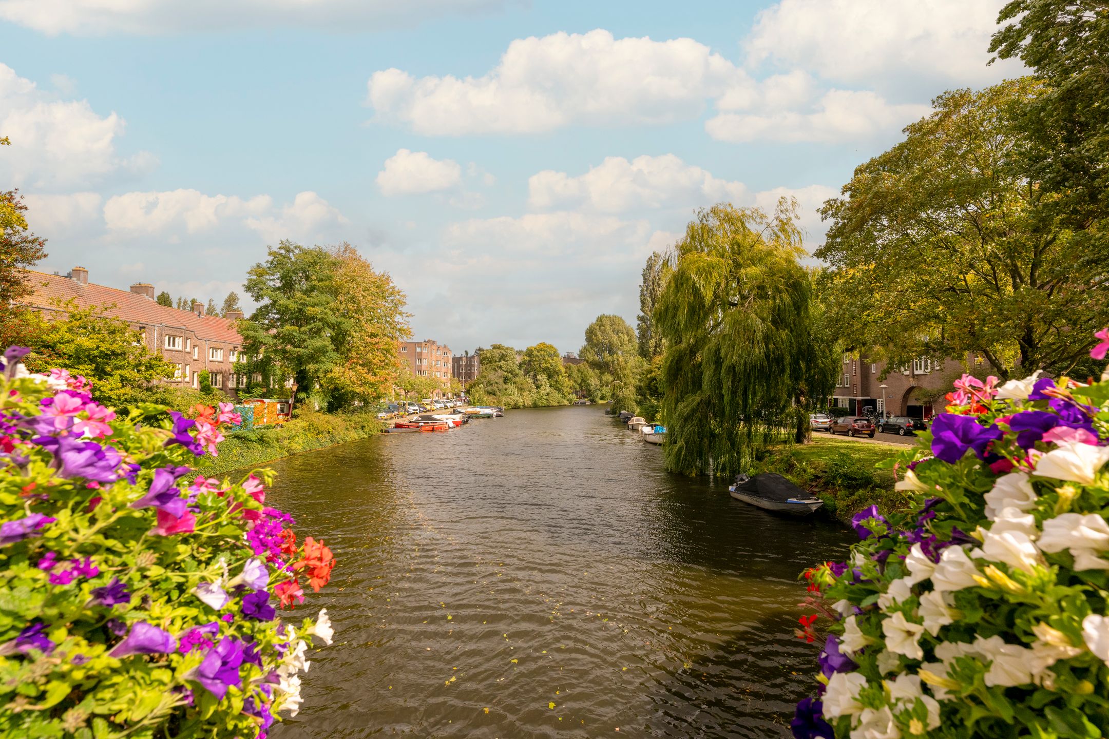 Photo 24 of Olympiaweg 46-2