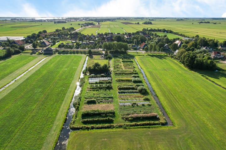 Jeltewei, Hommerts
