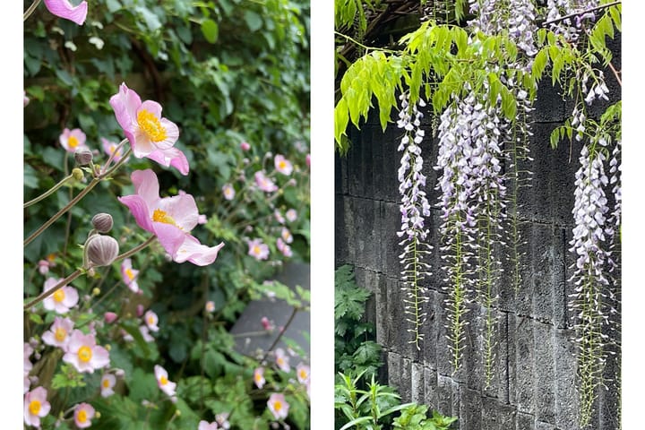 Foto 19 van Oranjestraat 47