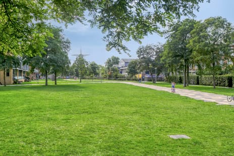 Kraijenhoffstraat 24-2 tertiary image