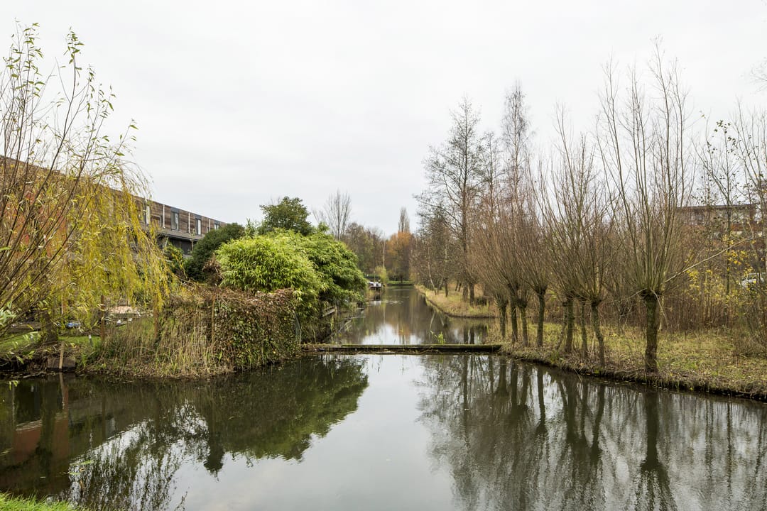 Photo 17 of Vrijthof 8