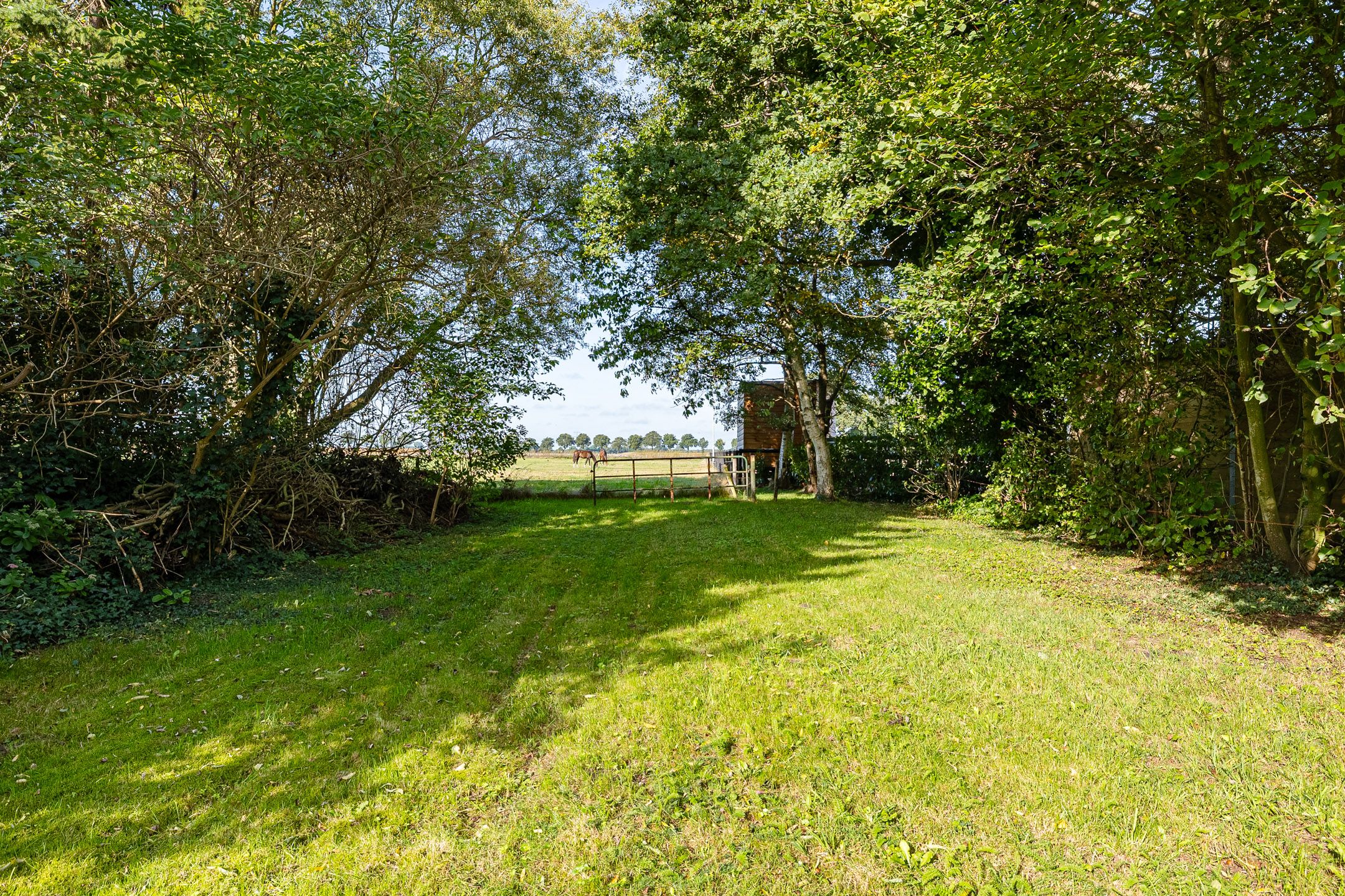 Photo 54 of Oostereind 18