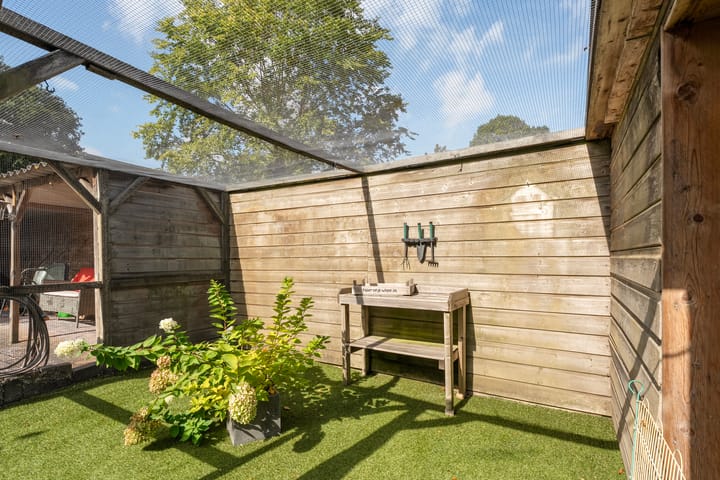 Foto 37 van Berkenlaan 2