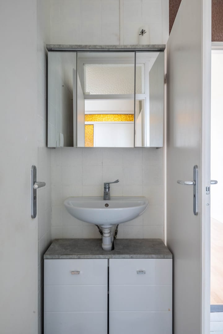 Foto 19 van Beneluxlaan 465