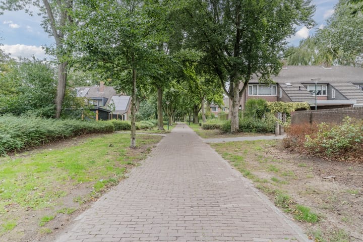 Foto 39 van Leibeemd 140