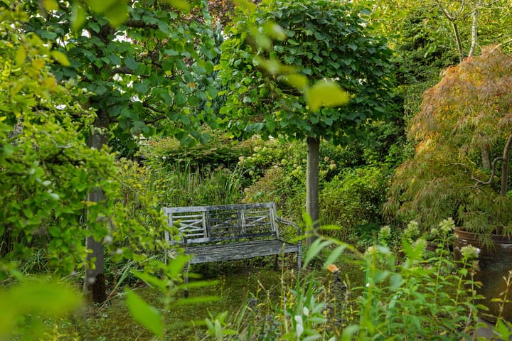 Foto 41 van Herman Moerkerklaan 59-A