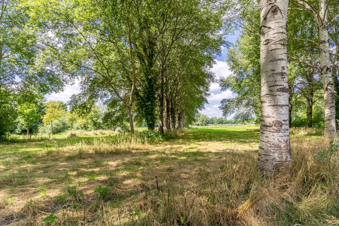 Foto 32 van Saxofoonstraat 105