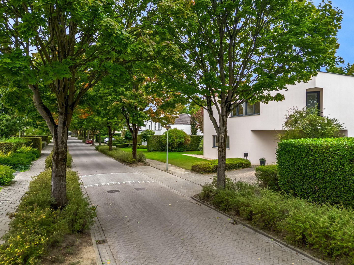 Foto 44 van Gaspeldoorn 12