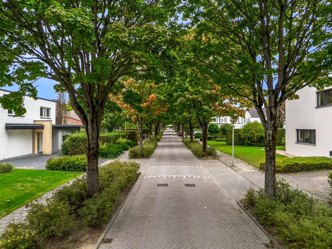 Foto 46 van Gaspeldoorn 12