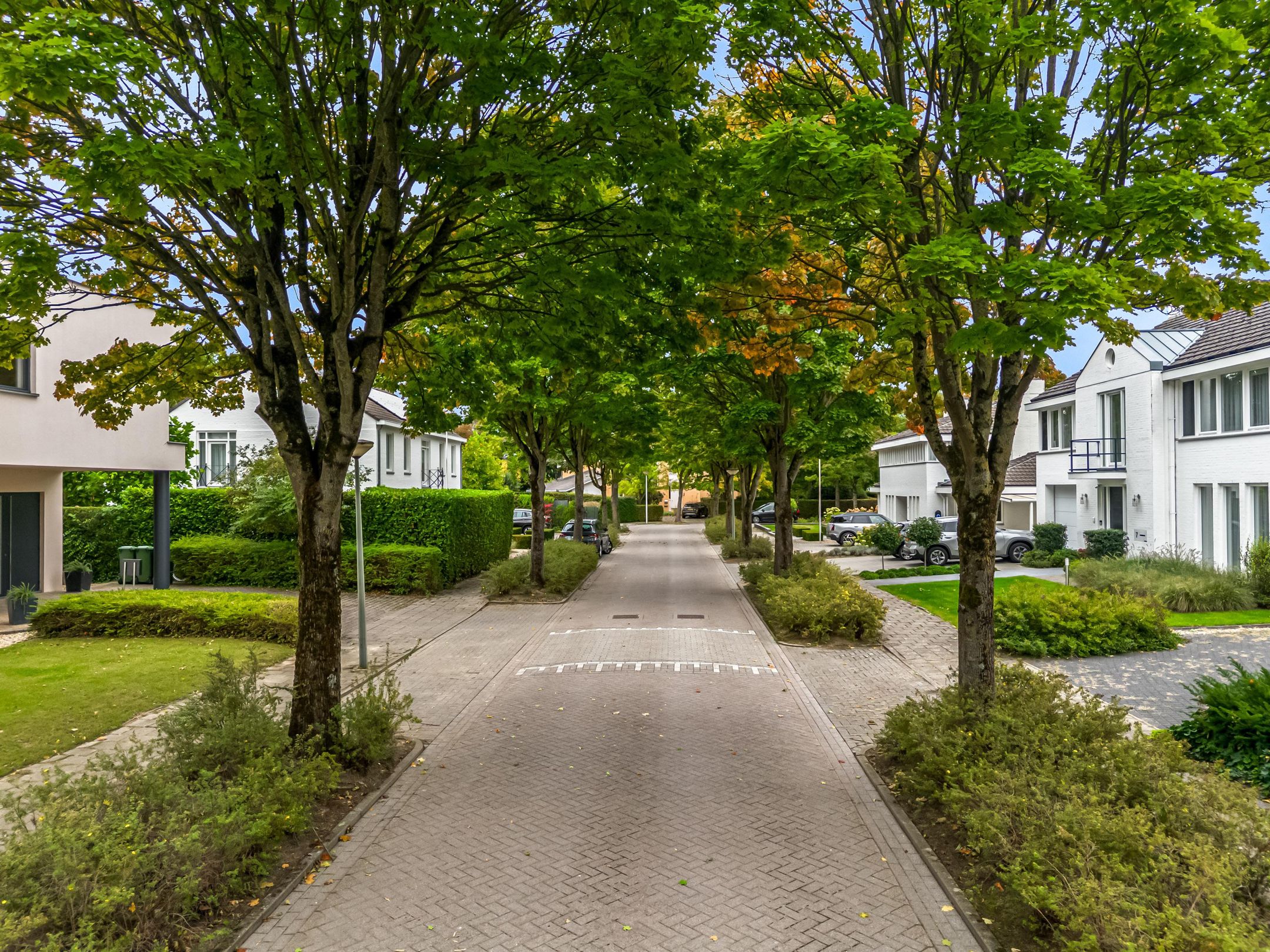 Foto 45 van Gaspeldoorn 12