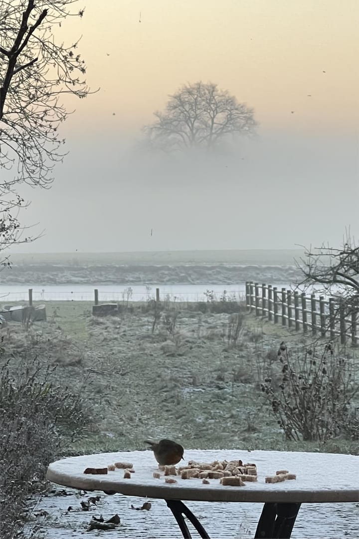 Foto 87 van Raadhuisdijk 15