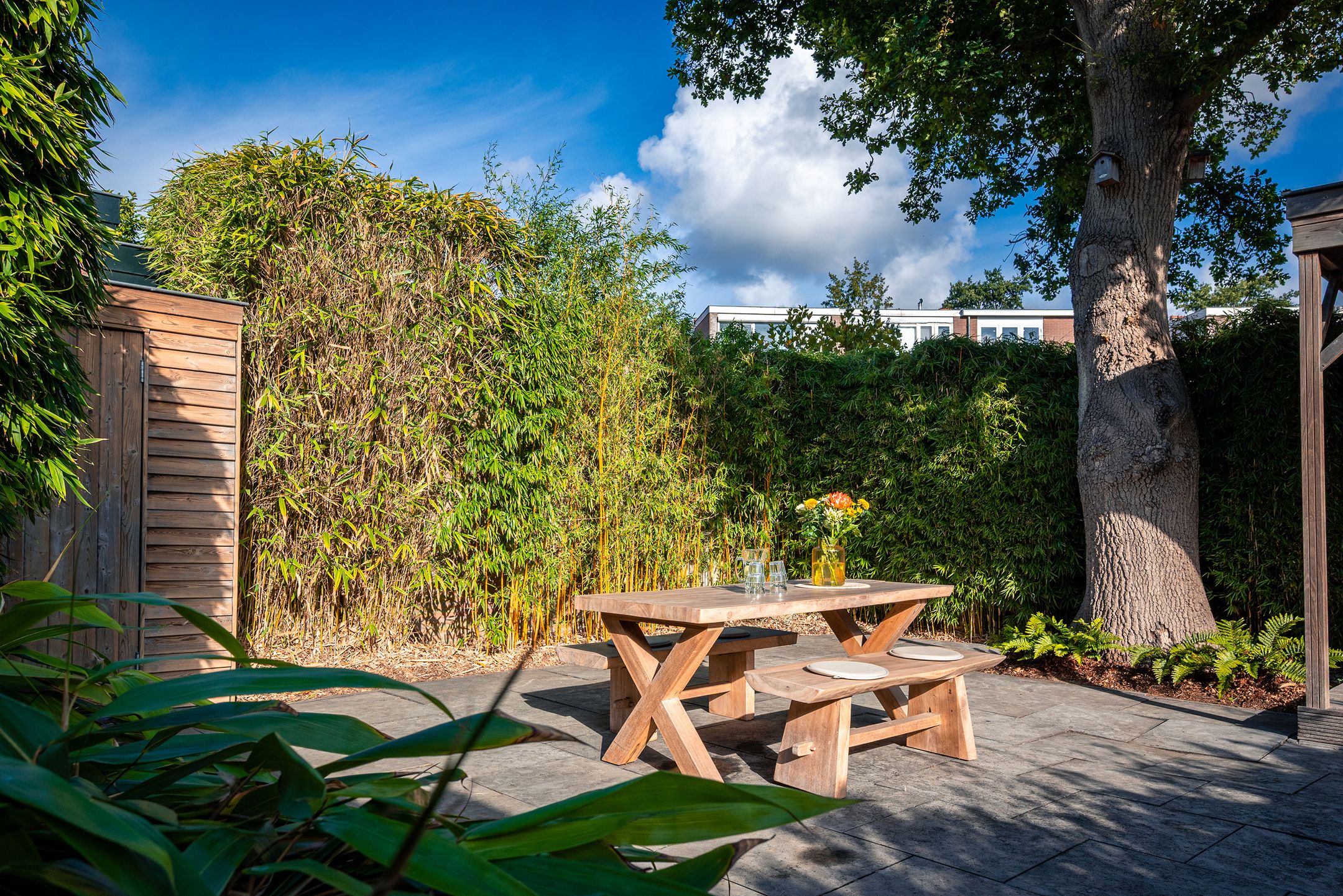 Photo 24 of Terrasweg 40