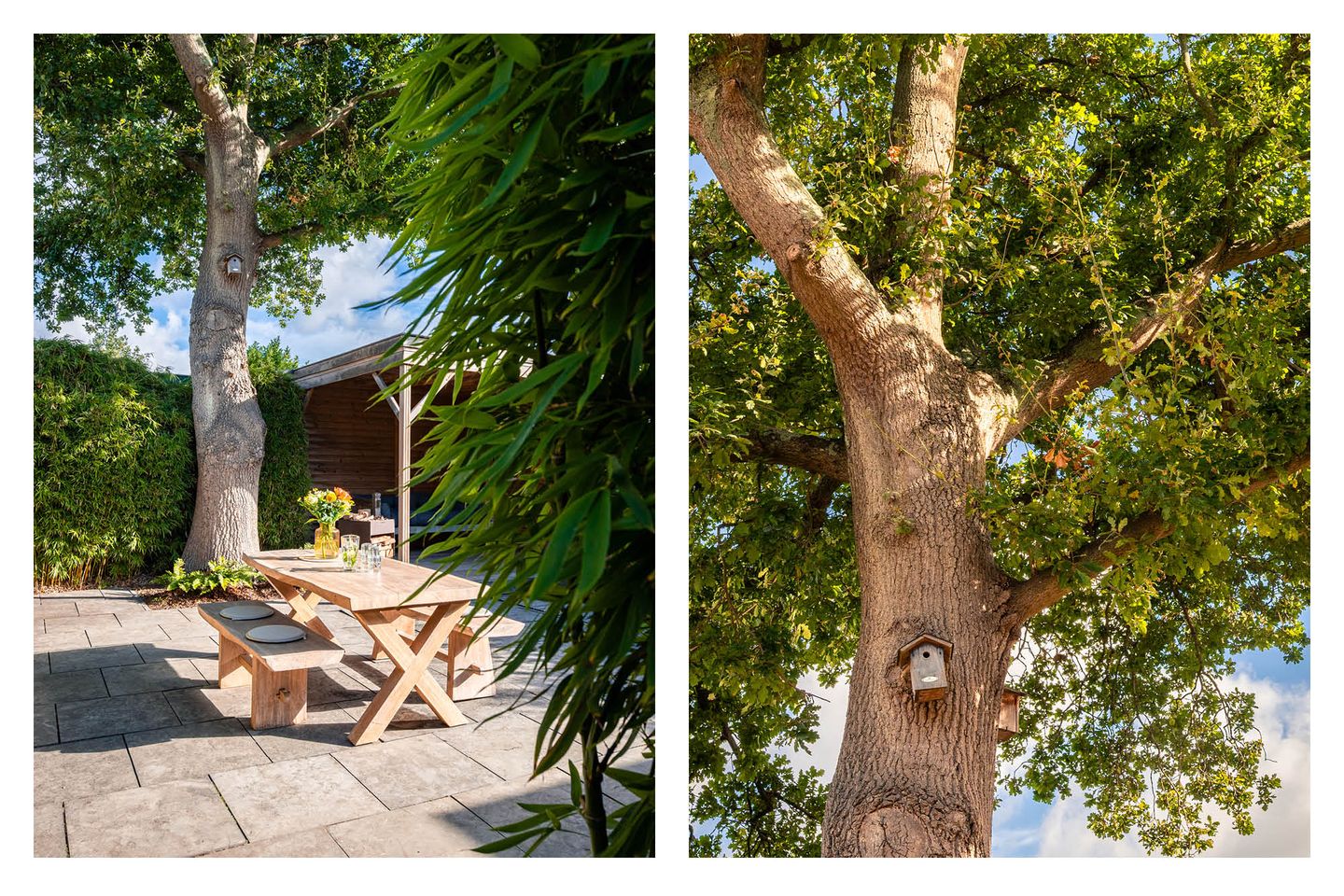 Photo 25 of Terrasweg 40