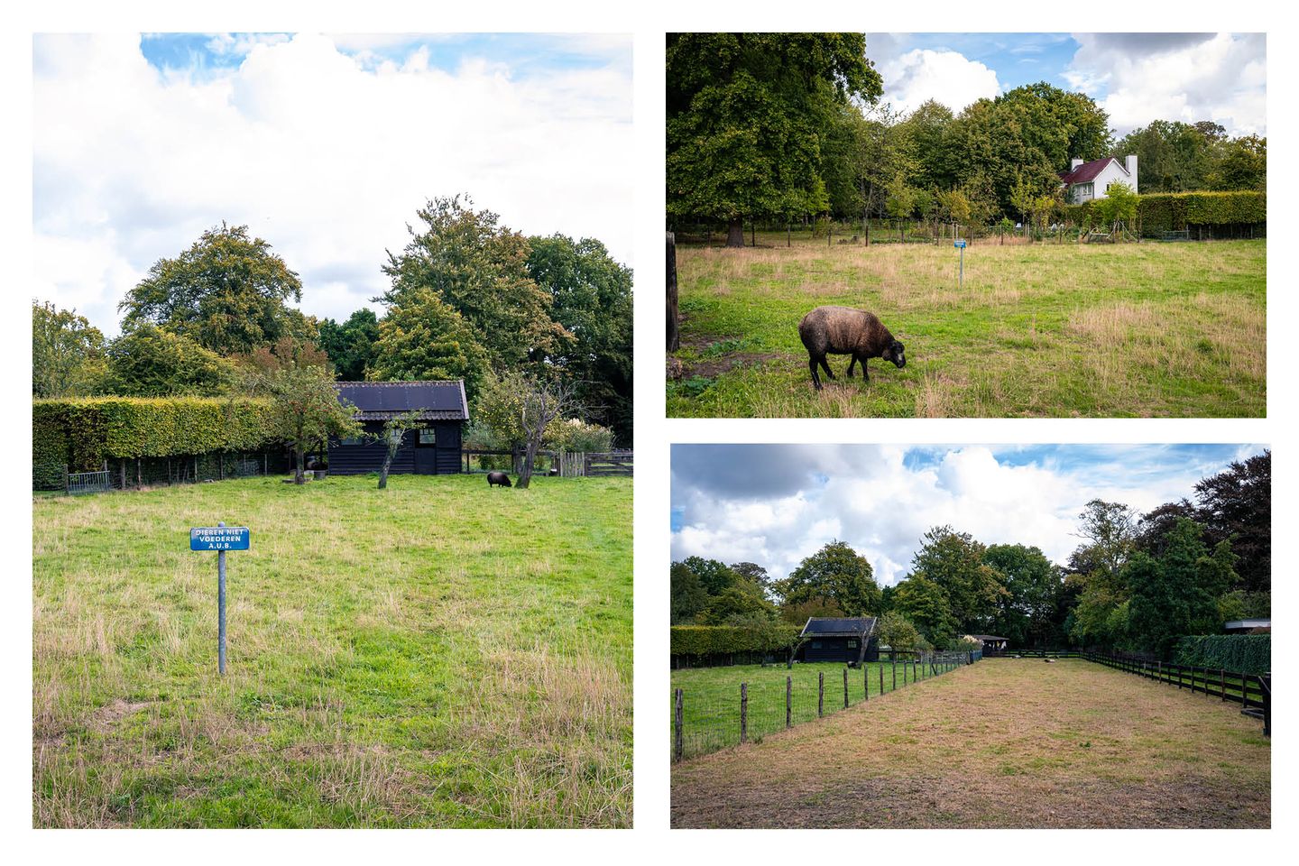 Photo 44 of Terrasweg 40