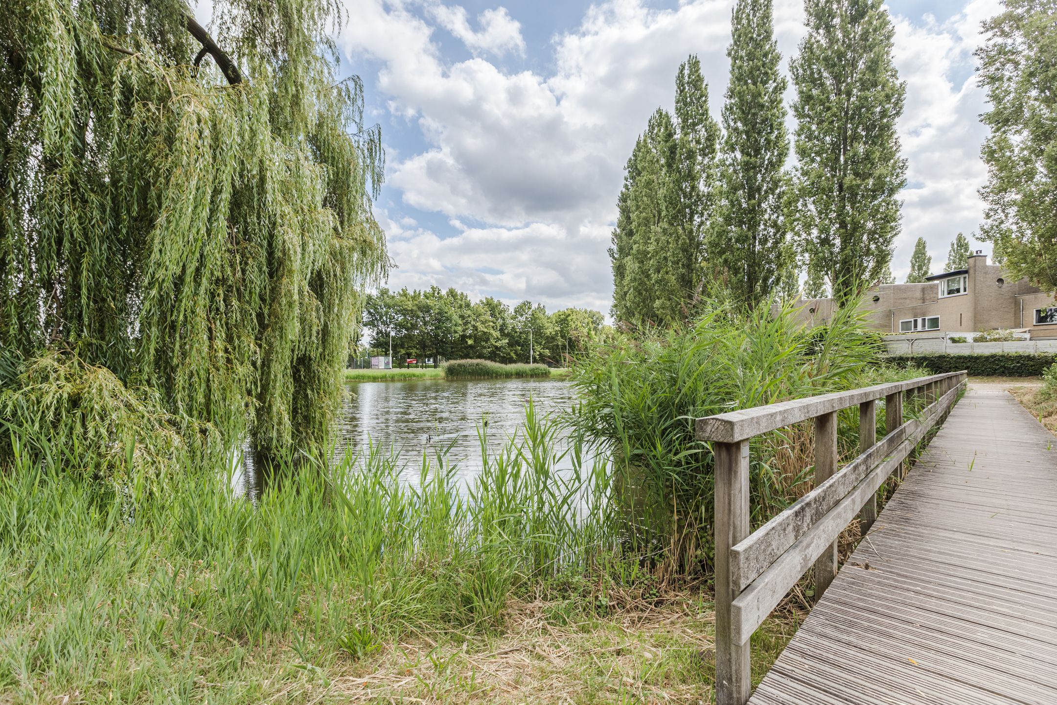 Photo 5 of Liesveldstraat