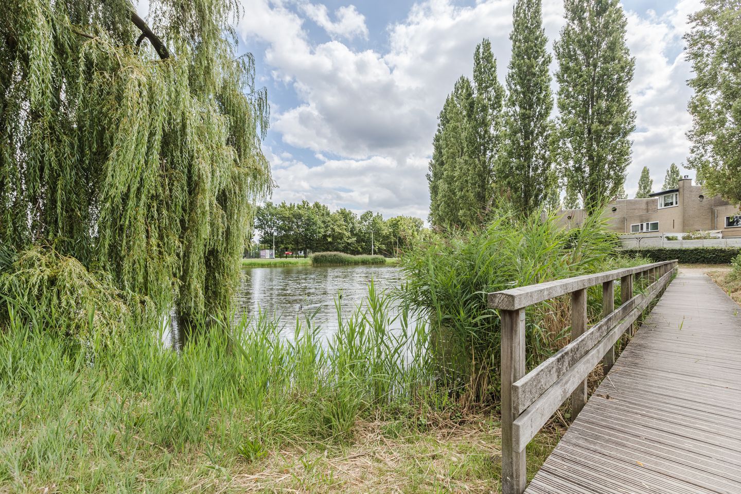 Foto 5 van Liesveldstraat