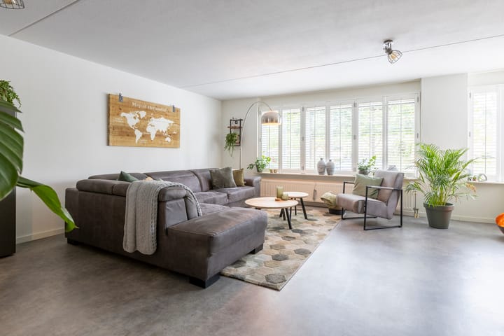 Foto 2 van Zilverplevier 17