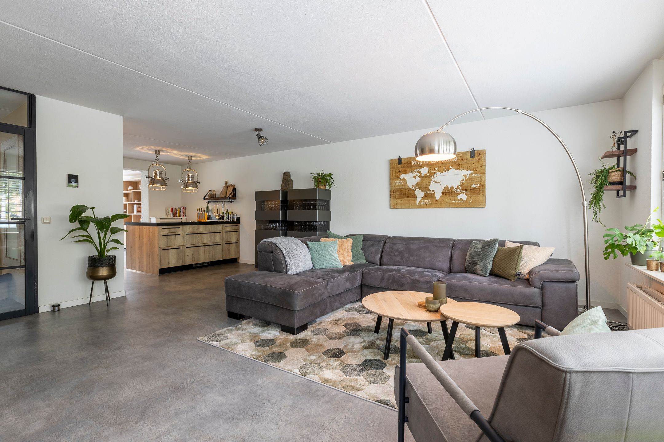 Foto 3 van Zilverplevier 17