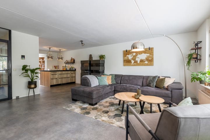 Foto 3 van Zilverplevier 17