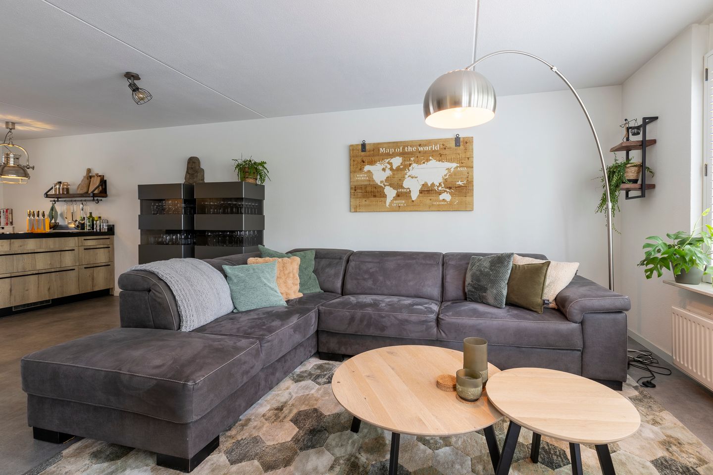 Foto 5 van Zilverplevier 17