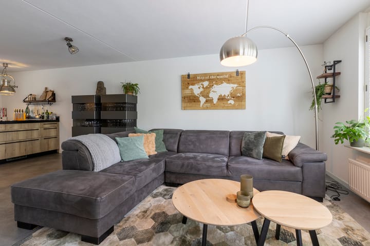 Foto 5 van Zilverplevier 17