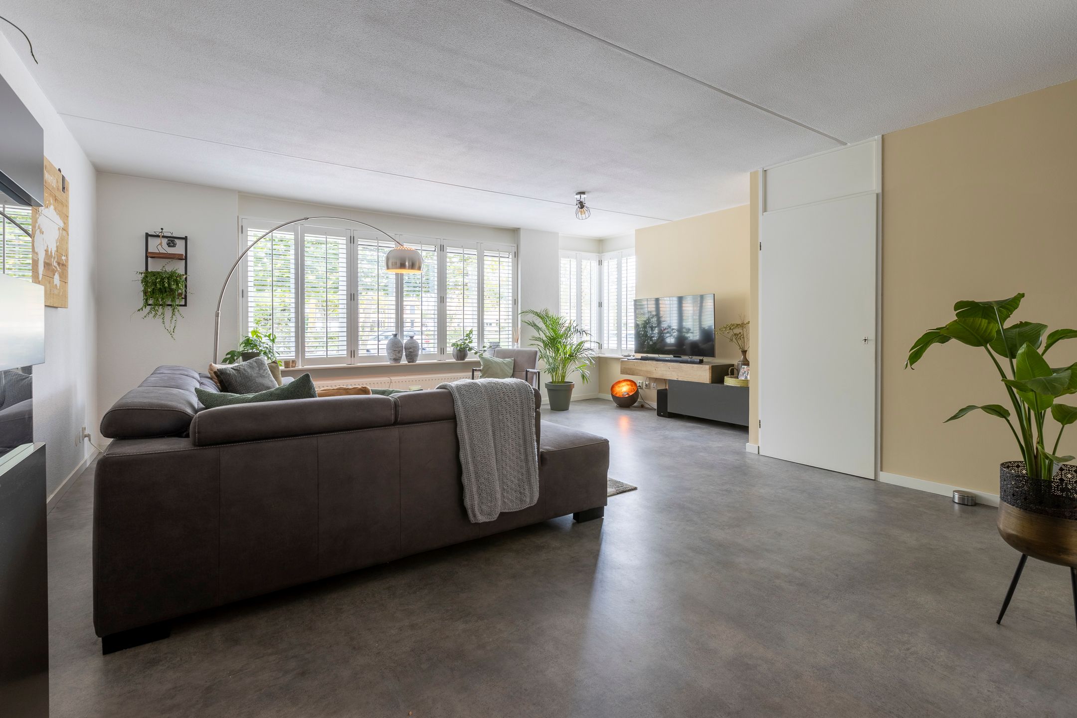 Foto 6 van Zilverplevier 17