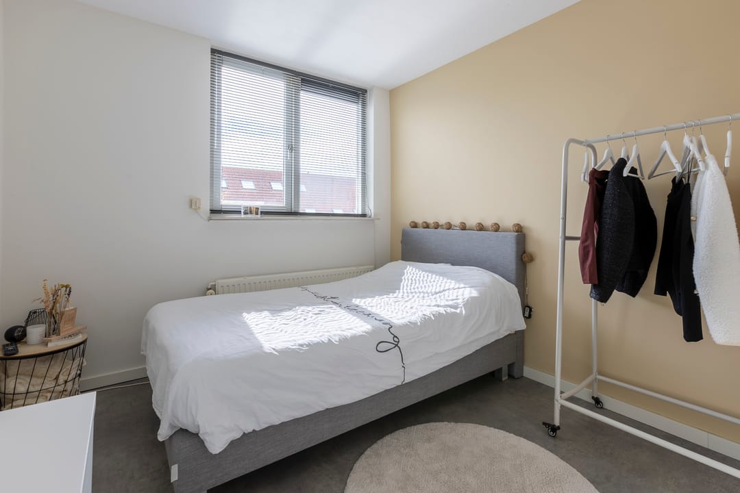 Foto 28 van Zilverplevier 17