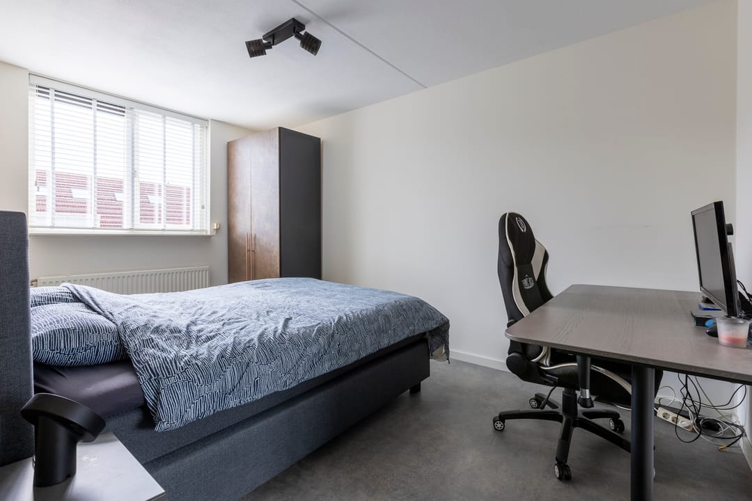 Foto 31 van Zilverplevier 17