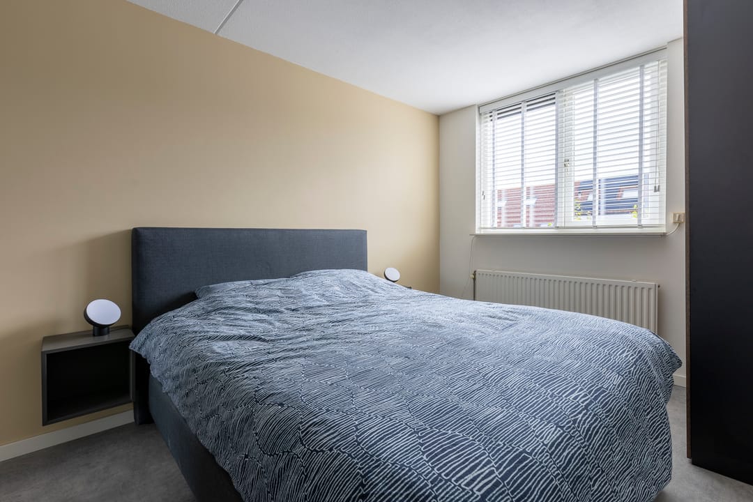 Foto 32 van Zilverplevier 17