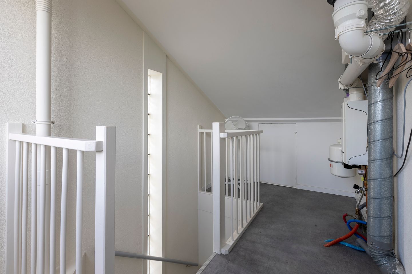 Foto 35 van Zilverplevier 17