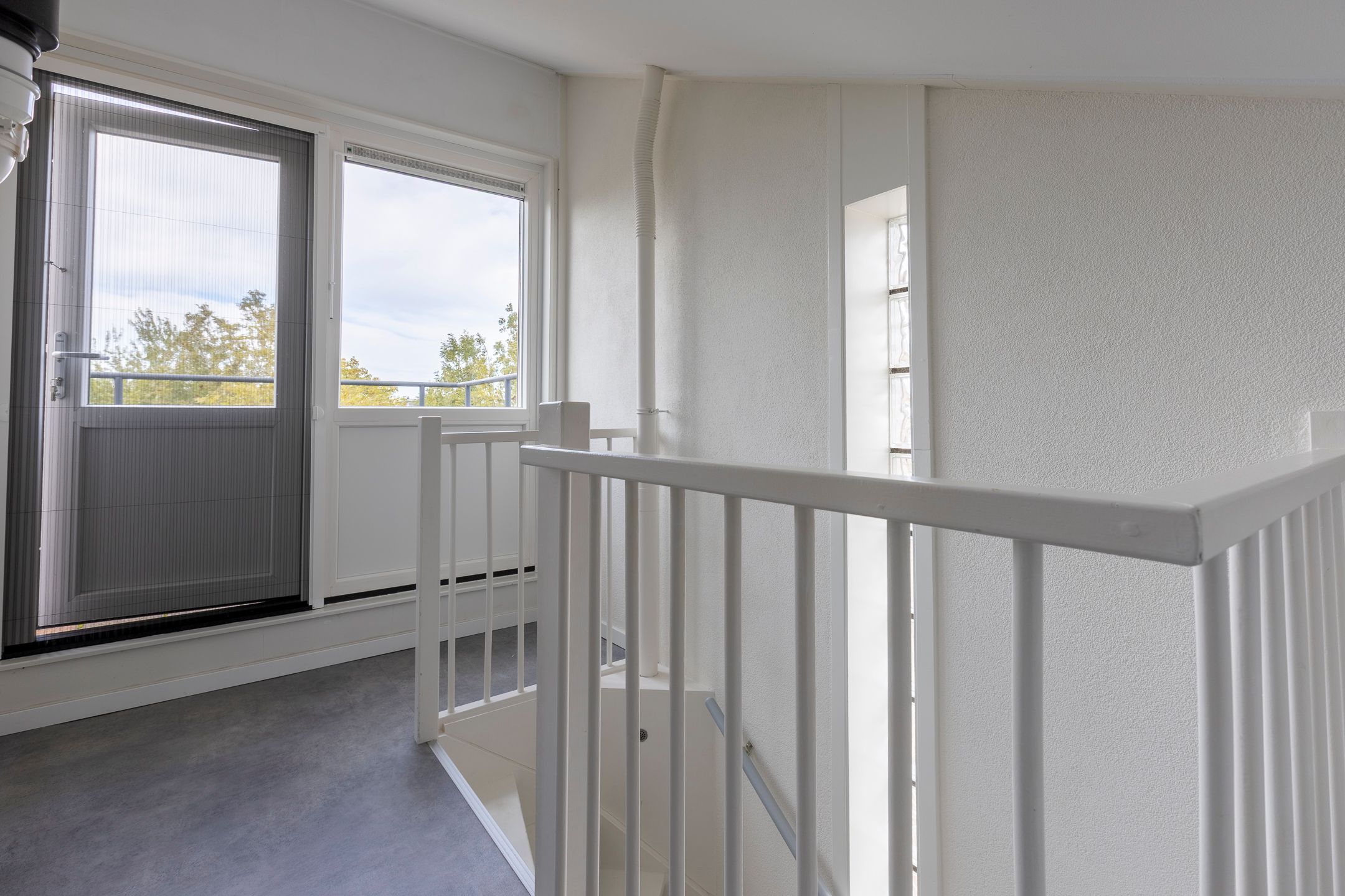 Foto 36 van Zilverplevier 17