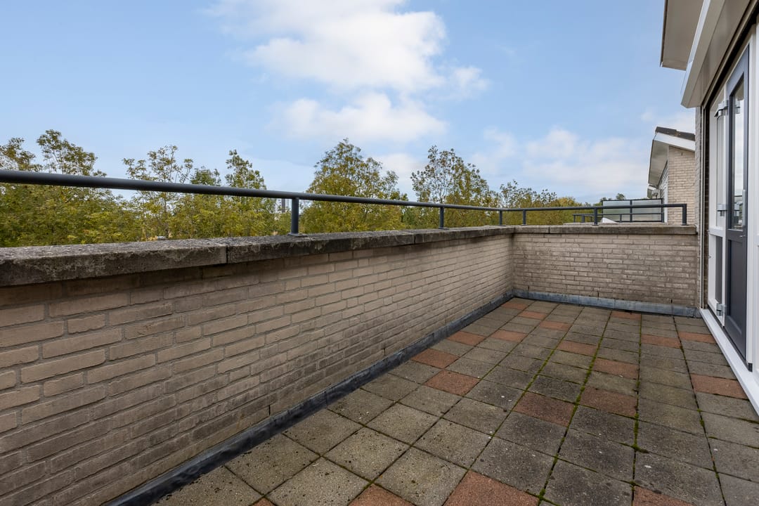 Foto 38 van Zilverplevier 17