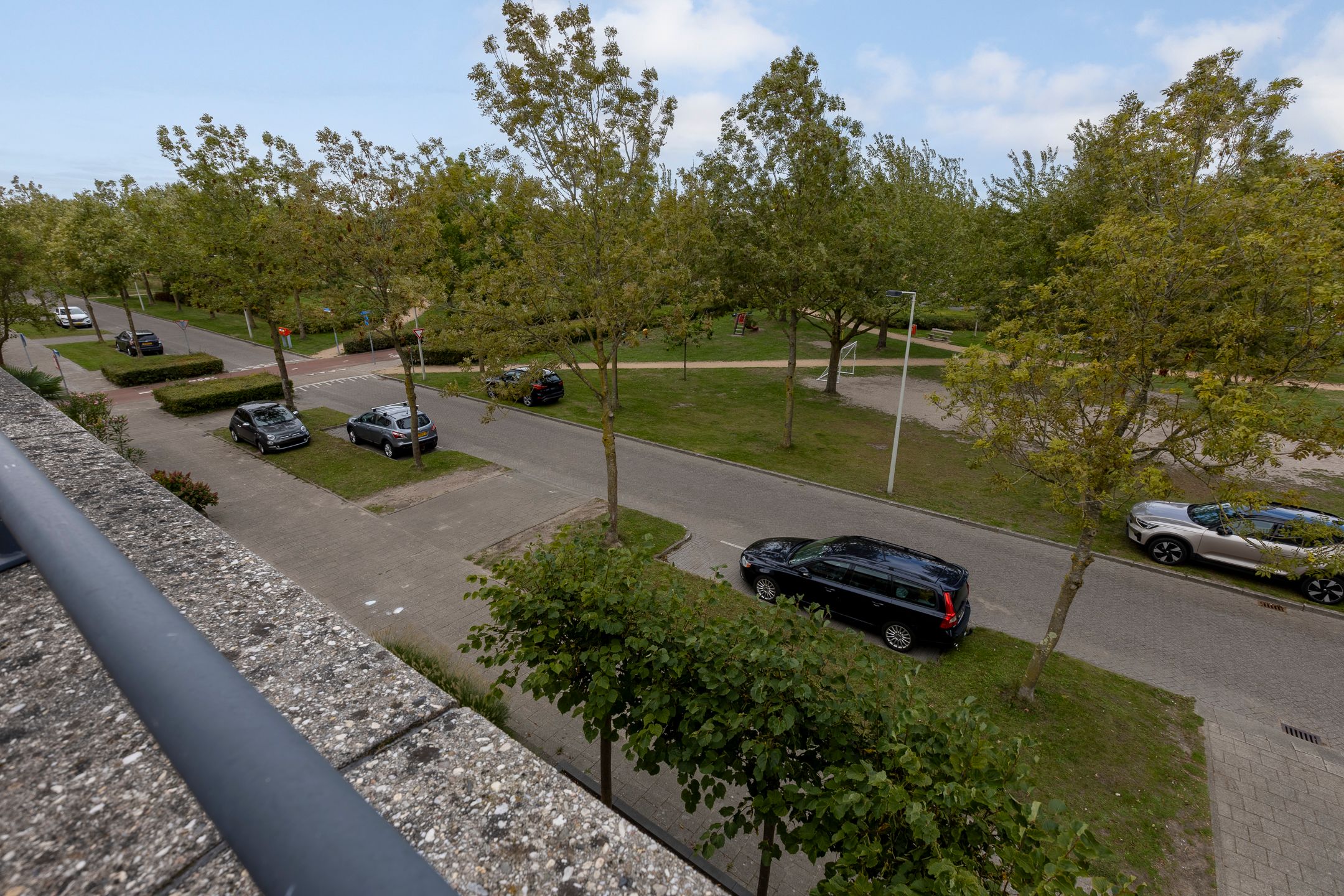 Foto 39 van Zilverplevier 17