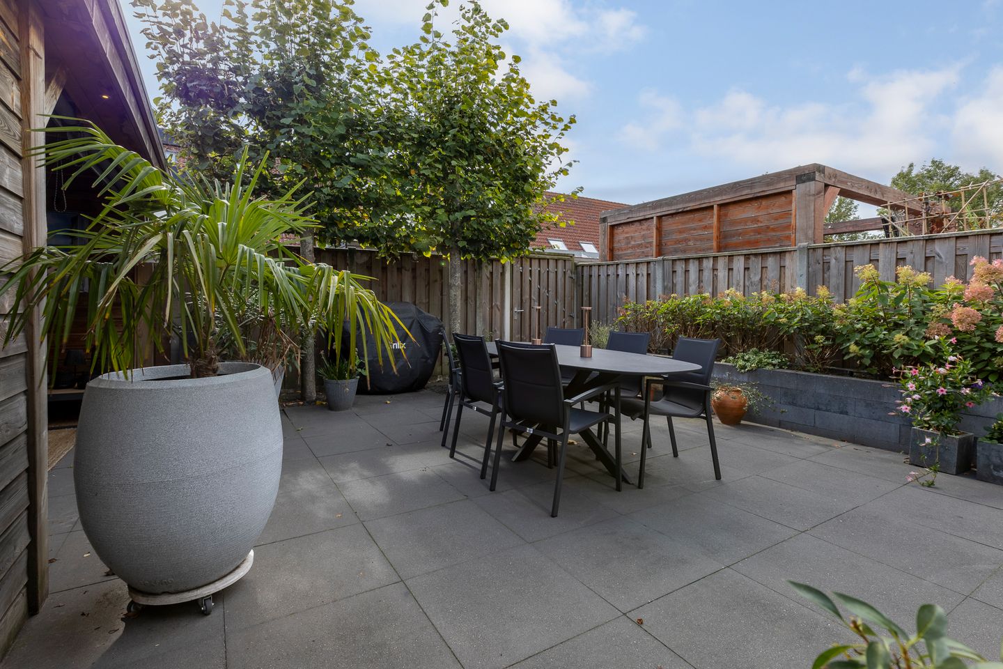 Foto 44 van Zilverplevier 17