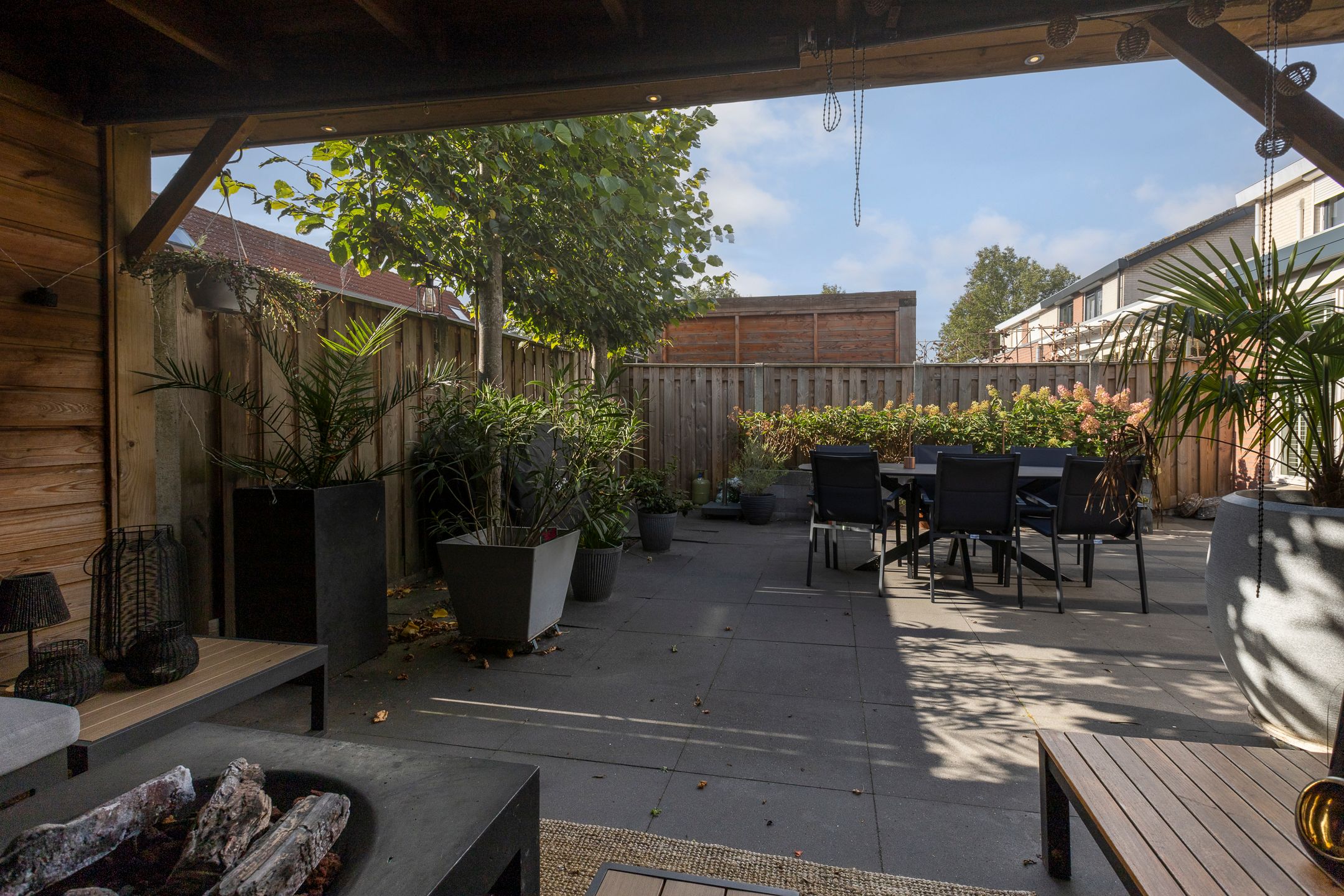 Foto 45 van Zilverplevier 17