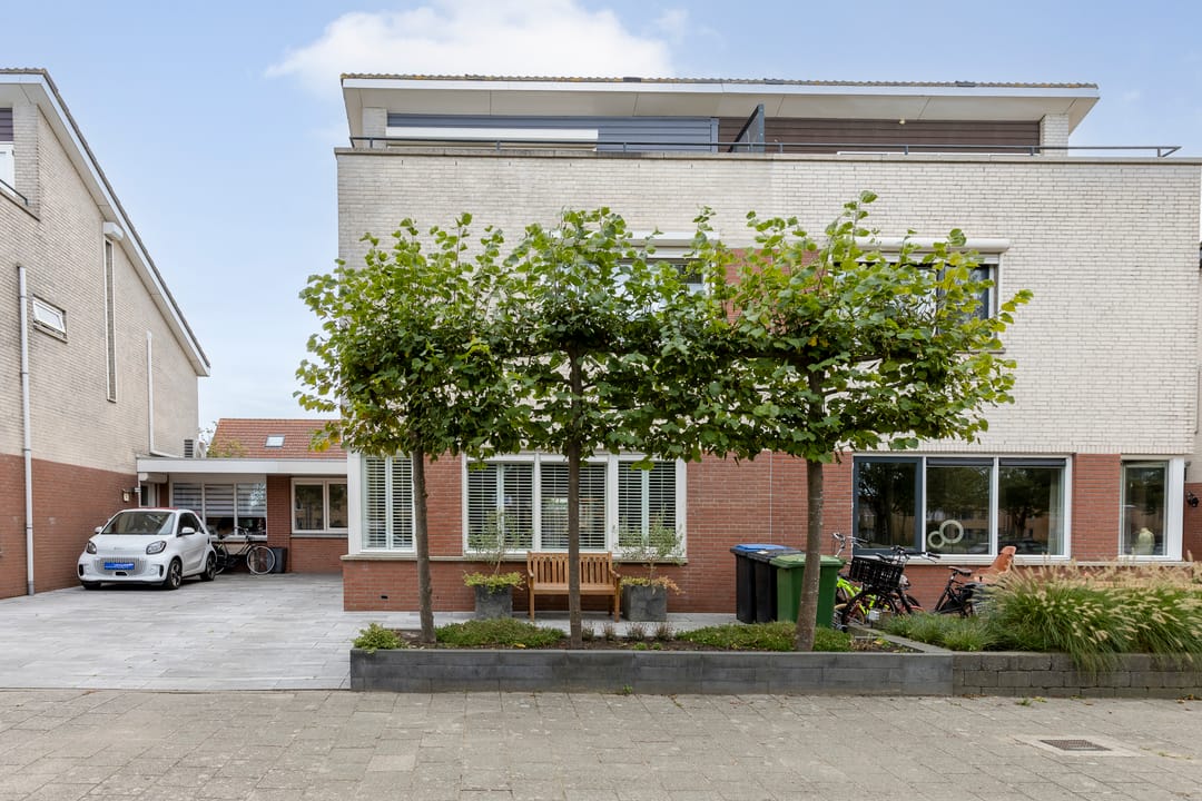 Foto 47 van Zilverplevier 17