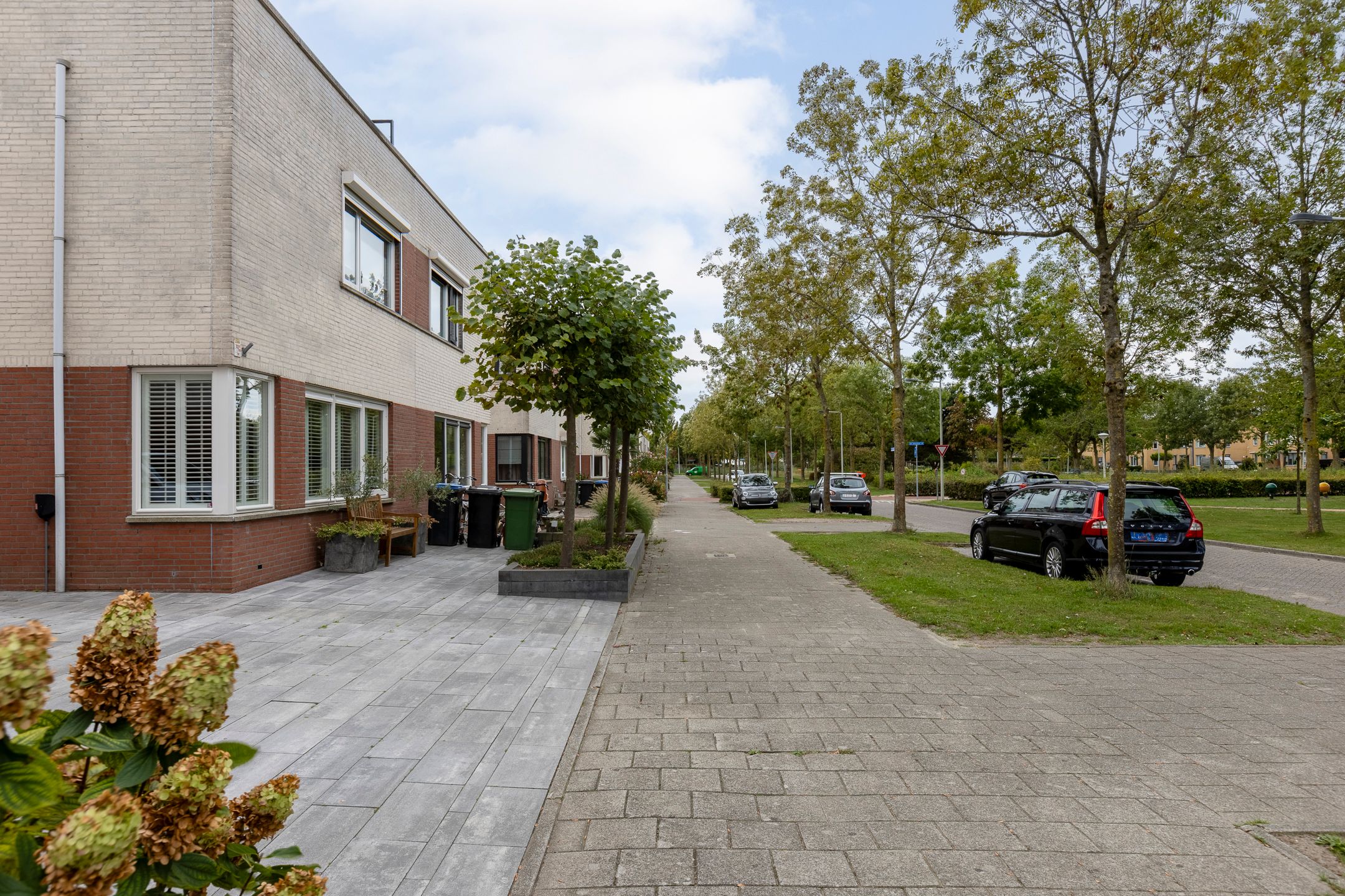 Foto 48 van Zilverplevier 17