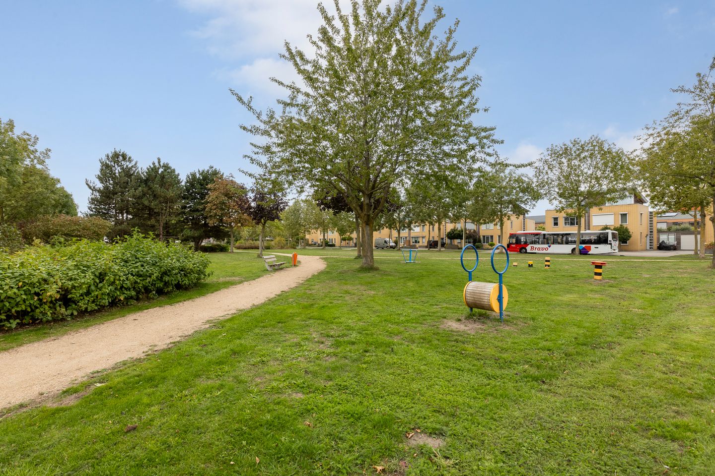 Foto 49 van Zilverplevier 17