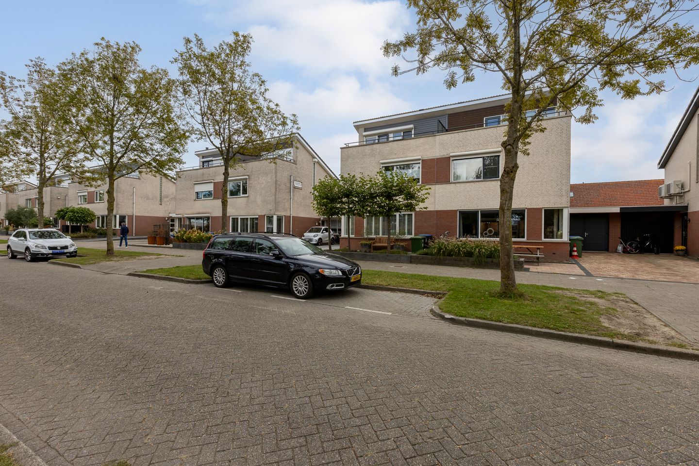 Foto 50 van Zilverplevier 17