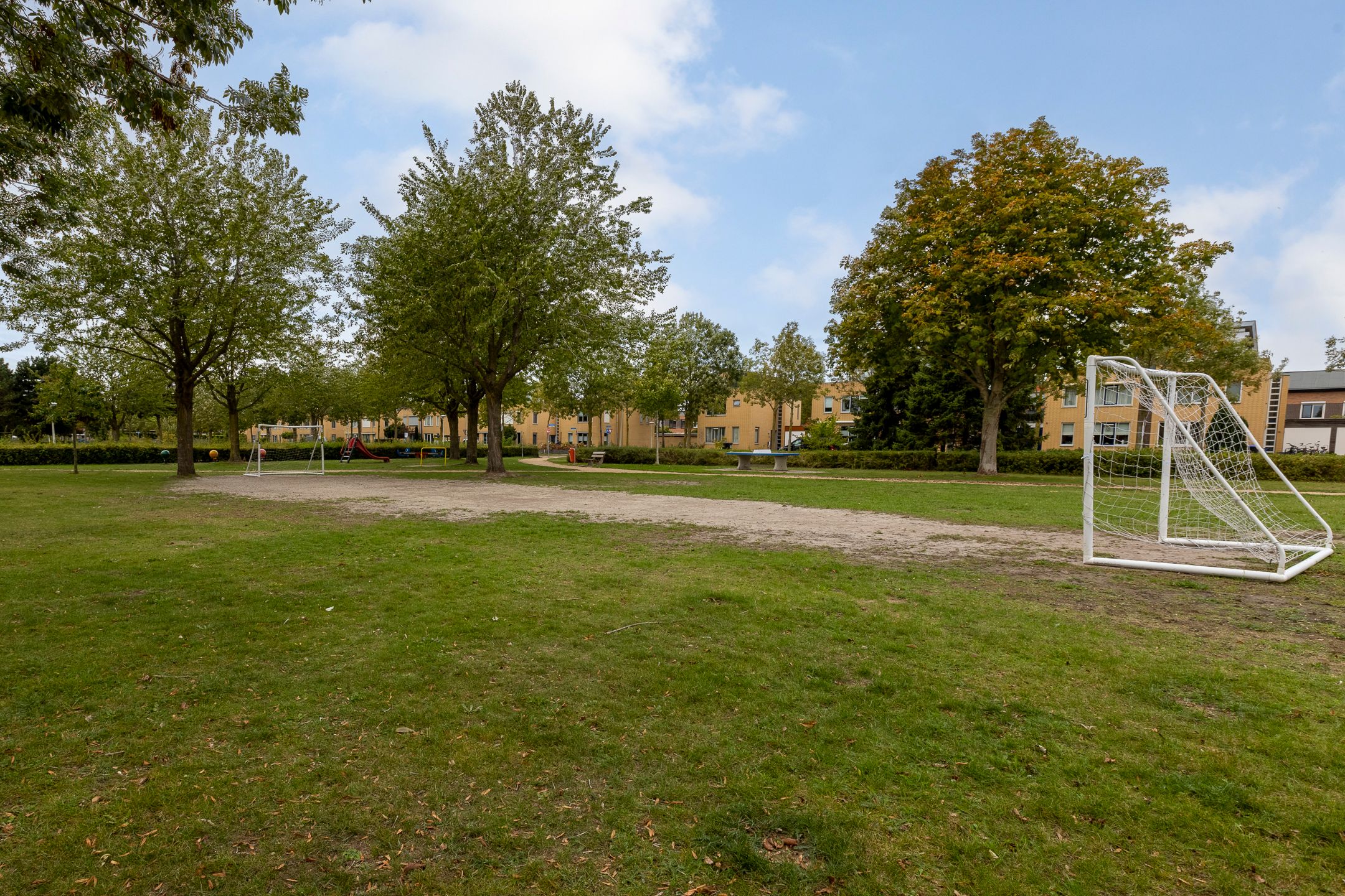 Foto 51 van Zilverplevier 17