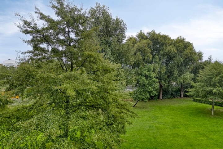 Photo 19 of Tiengemeten 97