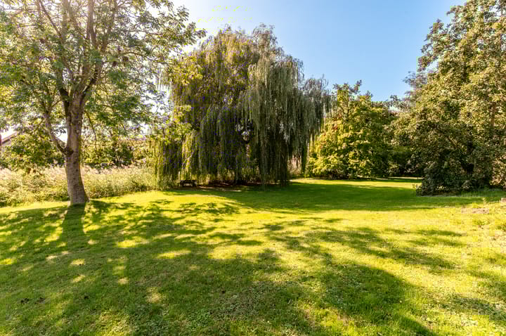 Foto 40 van Kogge 12 54