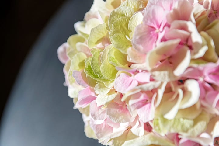 Photo 10 of Linge Singel 19