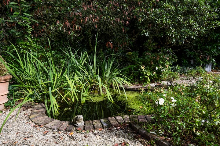 Foto 58 van Vredelaan 23