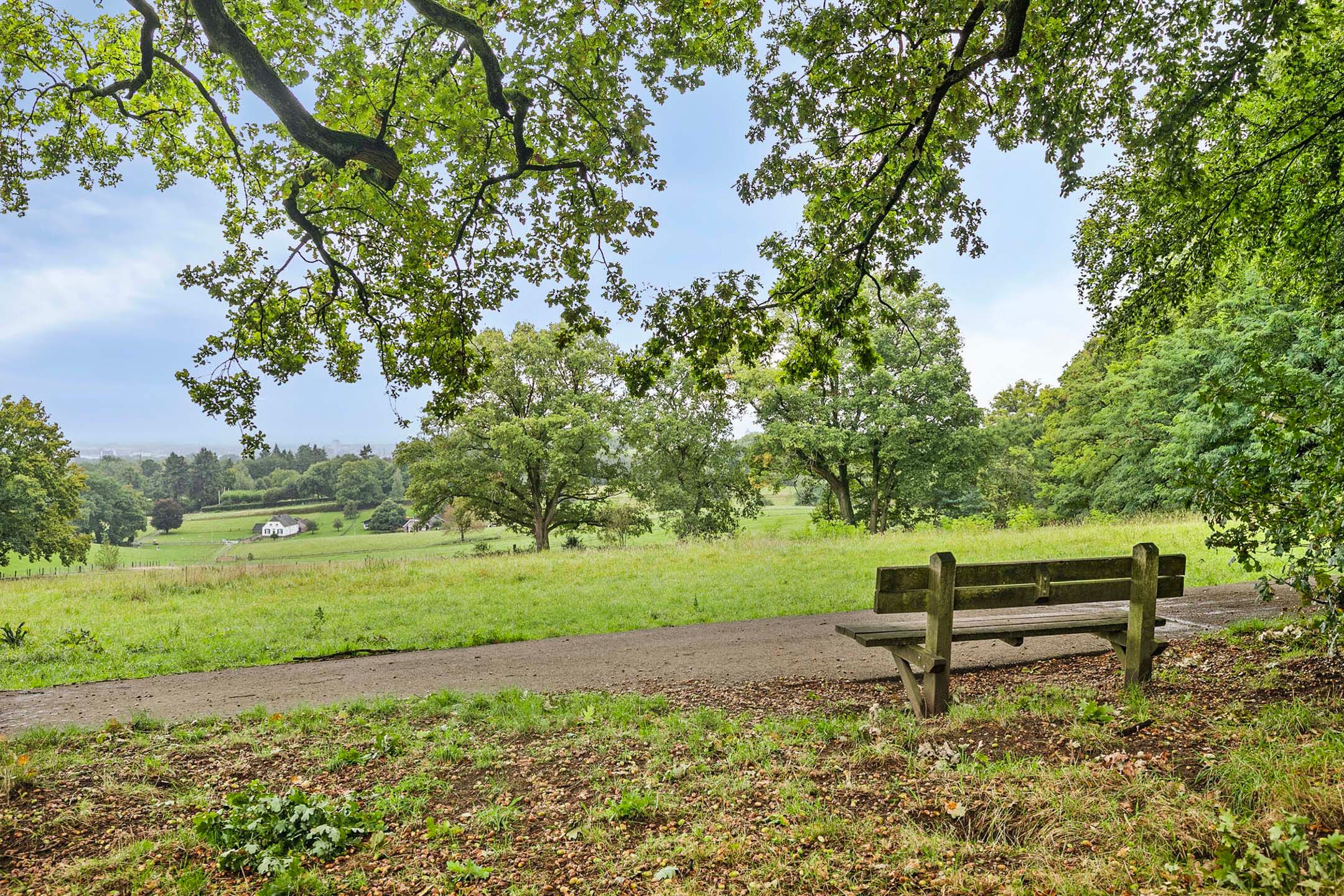 Treublaan 15-, 15, 3, Arnhem, 6823BR, Gelderland, Nederland 15