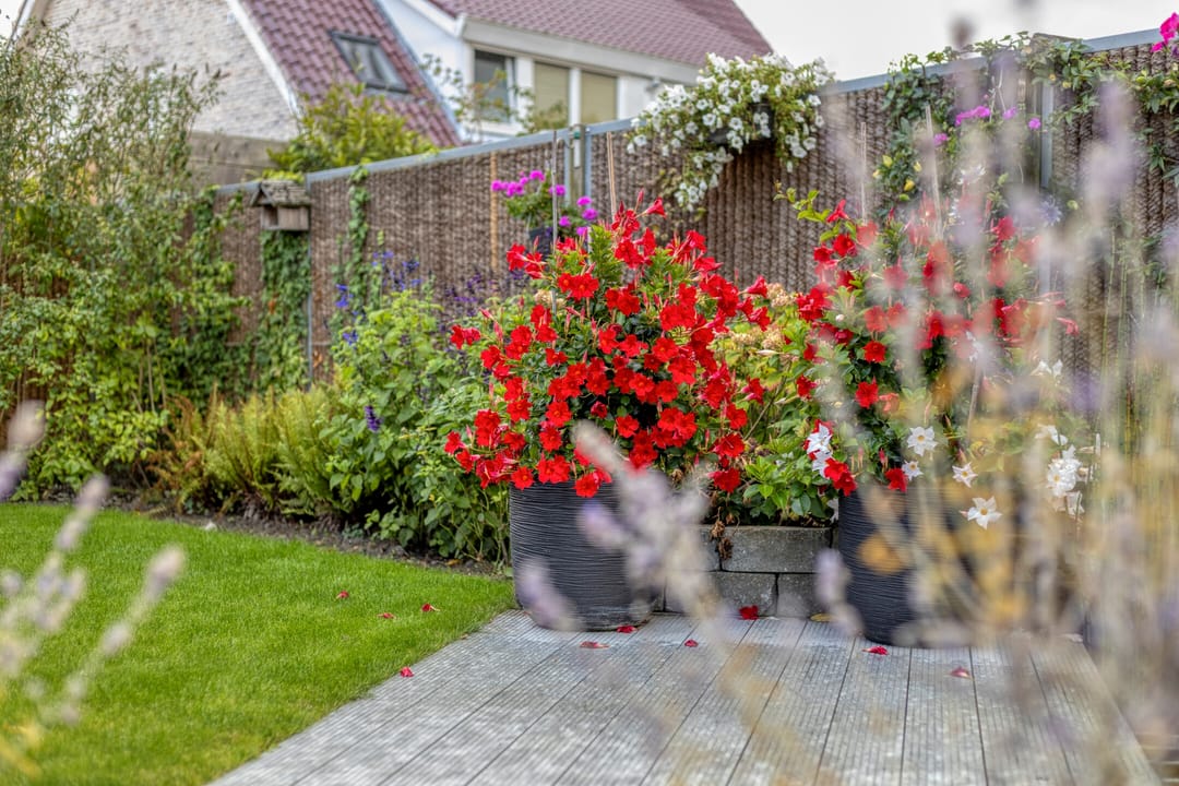 Foto 58 van Klaverakker 31