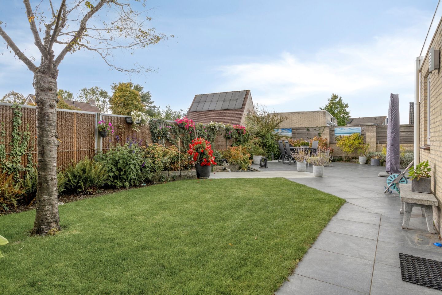 Foto 59 van Klaverakker 31