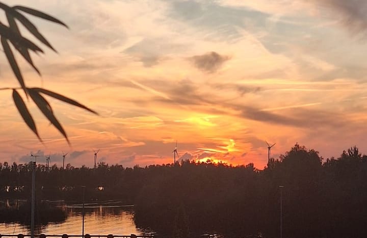 Foto 3 van Noorderhoofd 253