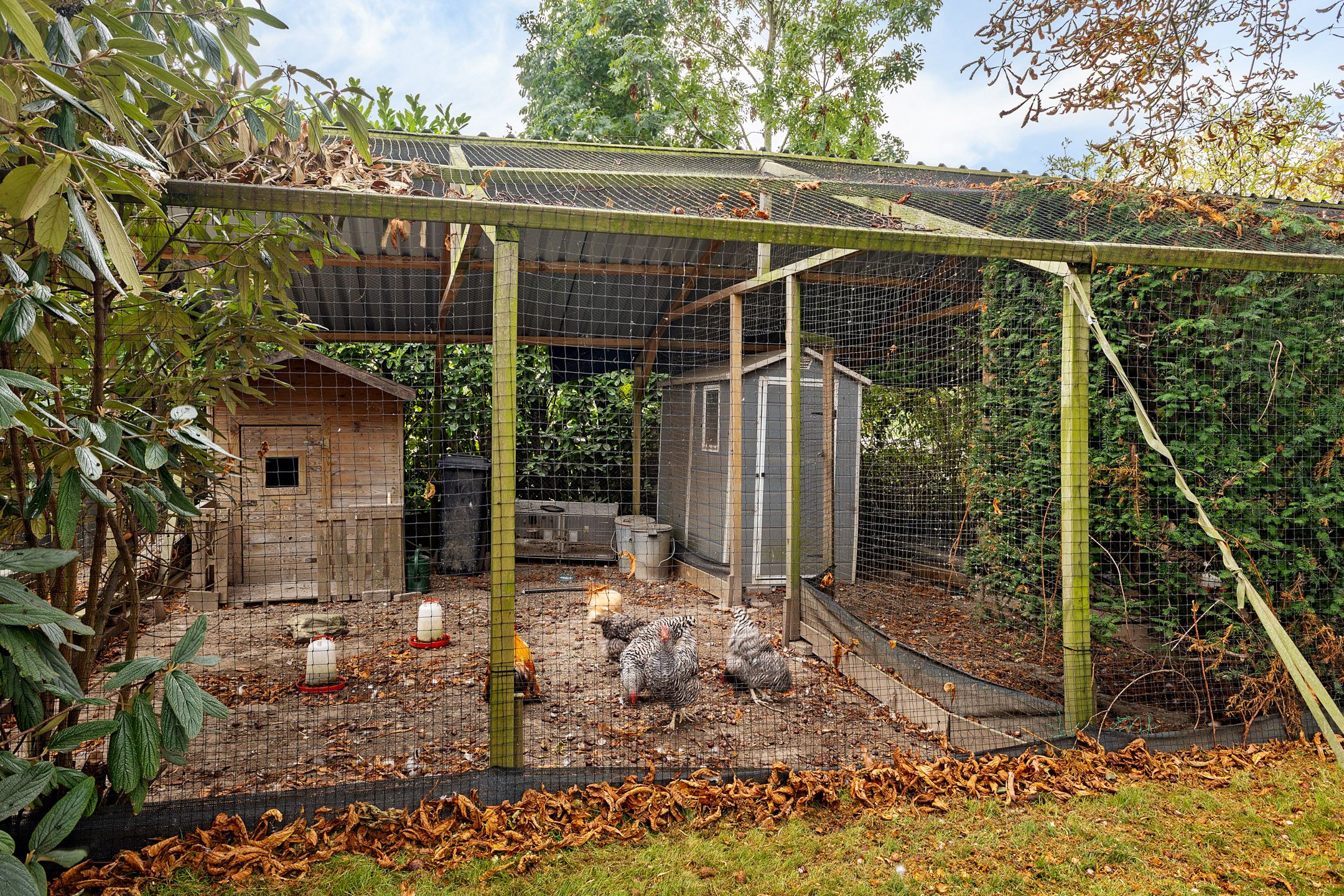 Foto 54 van Nieuwveenseweg 36-A